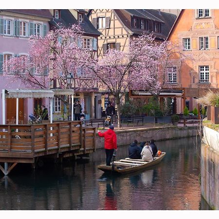 Maison Avec Terrasse Colmar Centre-Cottage Garden Terrace Center Old Town Colmar Exterior foto