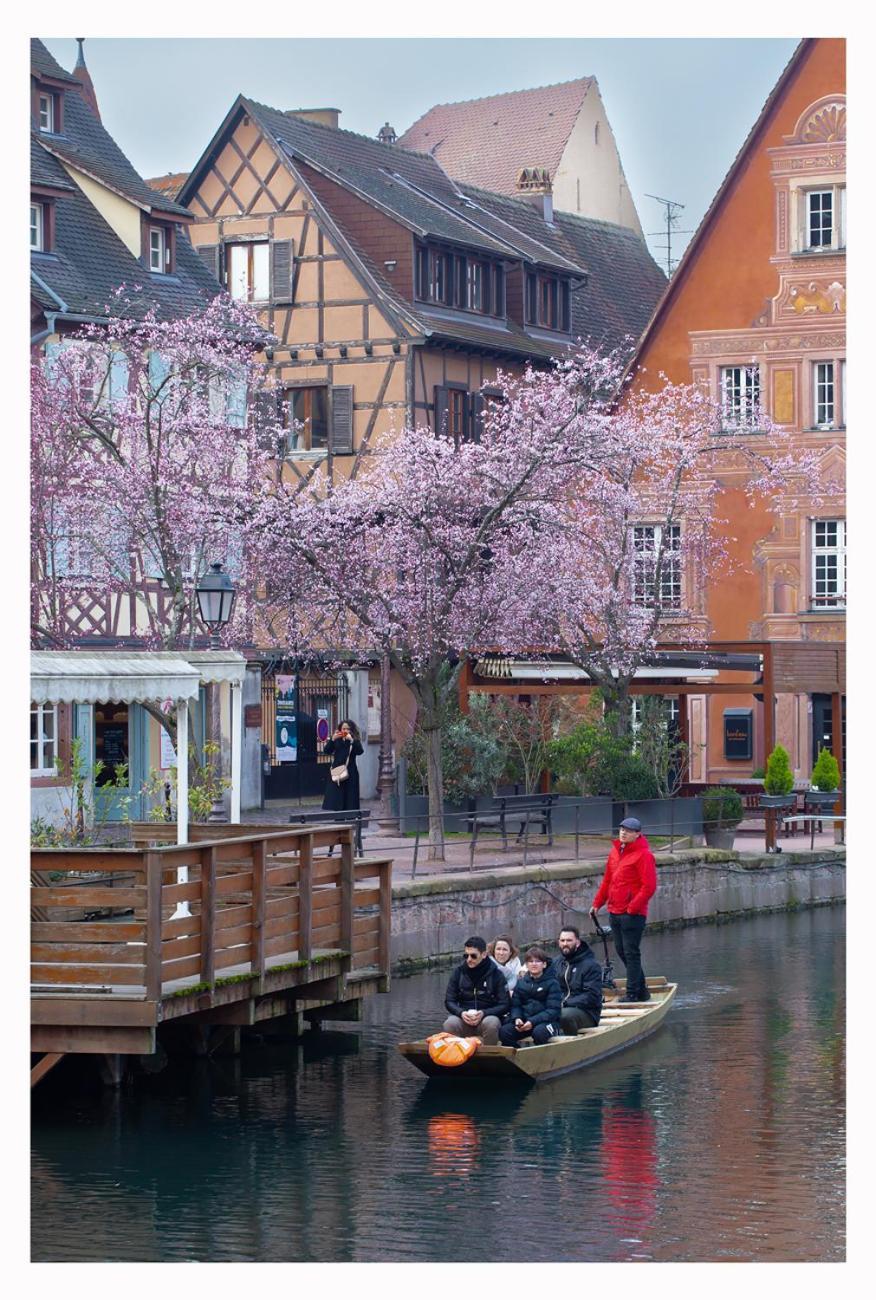 Maison Avec Terrasse Colmar Centre-Cottage Garden Terrace Center Old Town Colmar Exterior foto